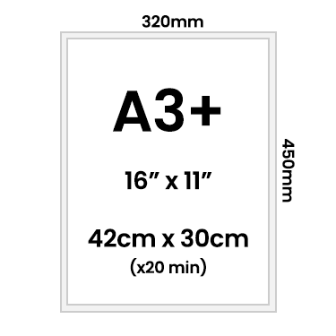 A3+ Posters (x20)